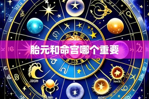 胎元和命宫哪个重要