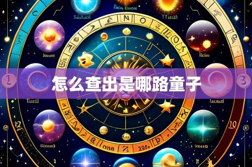 怎么查出是哪路童子