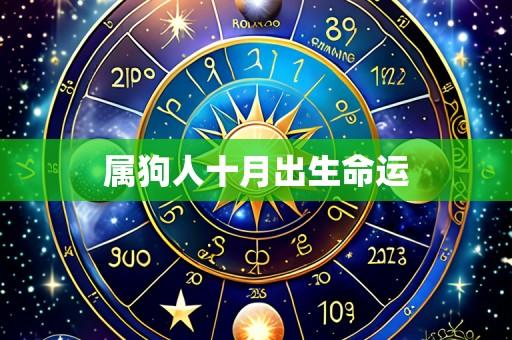 属狗人十月出生命运