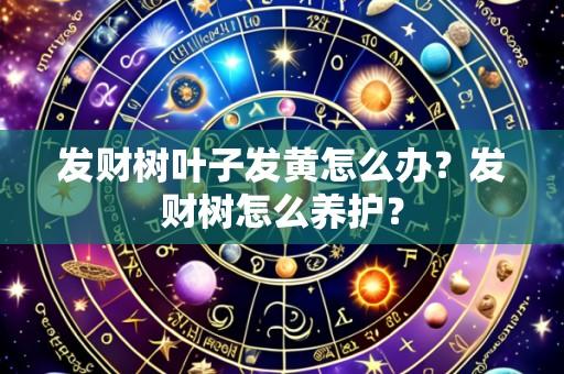 发财树叶子发黄怎么办？发财树怎么养护？