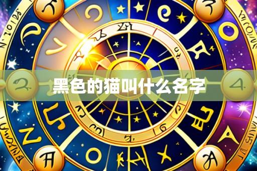 黑色的猫叫什么名字