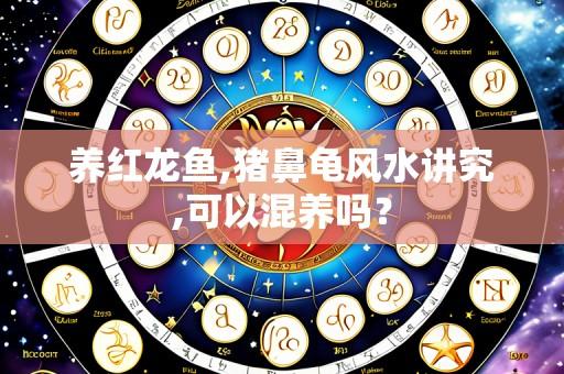 养红龙鱼,猪鼻龟风水讲究,可以混养吗?