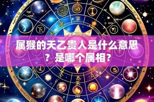 属猴的天乙贵人是什么意思?是哪个属相?