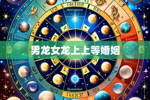 男龙女龙上上等婚姻