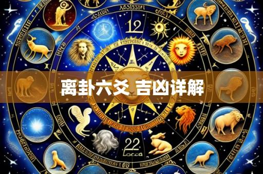 离卦六爻 吉凶详解