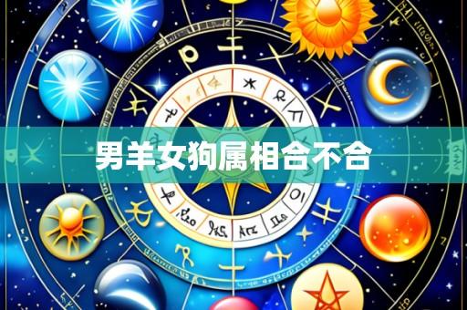 男羊女狗属相合不合