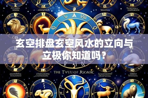 玄空排盘玄空风水的立向与立极你知道吗?
