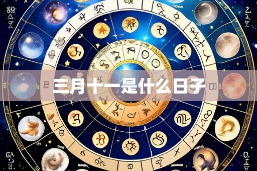 三月十一是什么日子
