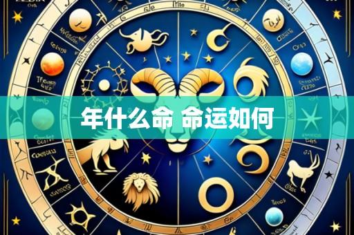 年什么命 命运如何