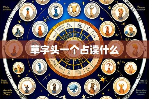 草字头一个占读什么