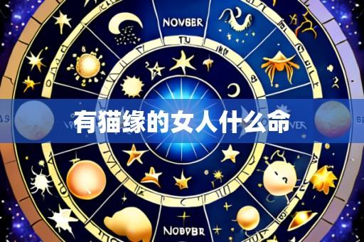有猫缘的女人什么命