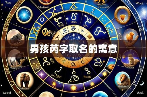 男孩芮字取名的寓意