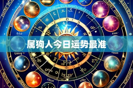 属狗人今日运势最准