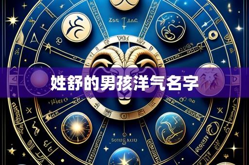 姓舒的男孩洋气名字