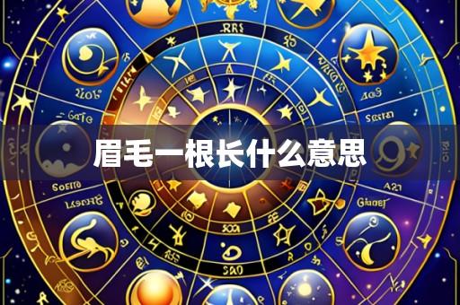 眉毛一根长什么意思