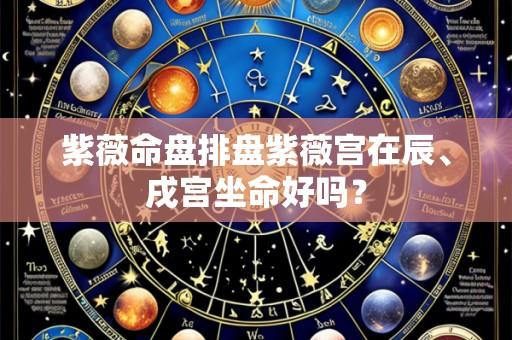 紫薇命盘排盘紫薇宫在辰、戌宫坐命好吗?
