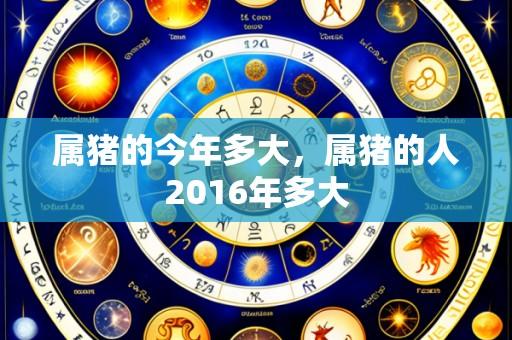 属猪的今年多大,属猪的人2016年多大