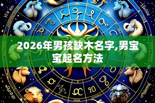 2026年男孩缺木名字,男宝宝起名方法