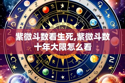 紫微斗数看生死,紫微斗数十年大限怎么看