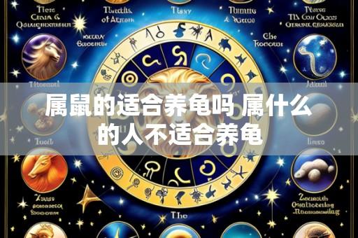 属鼠的适合养龟吗 属什么的人不适合养龟