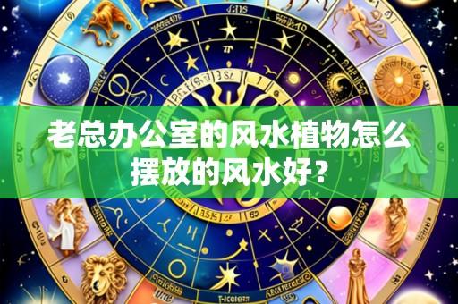 老总办公室的风水植物怎么摆放的风水好？