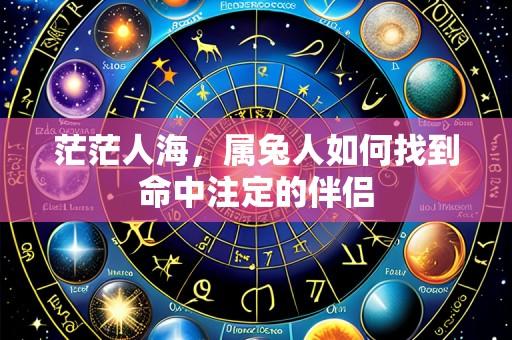茫茫人海，属兔人如何找到命中注定的伴侣