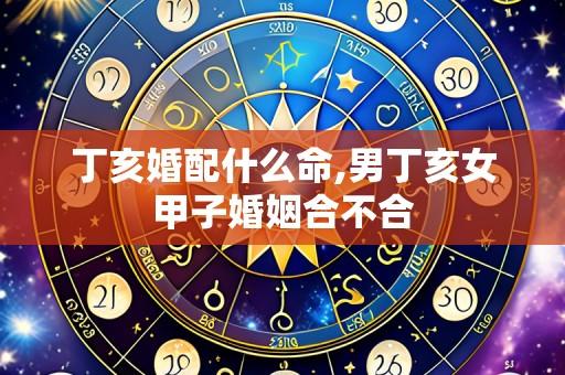 丁亥婚配什么命,男丁亥女甲子婚姻合不合