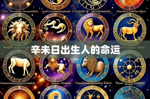 辛未日出生人的命运