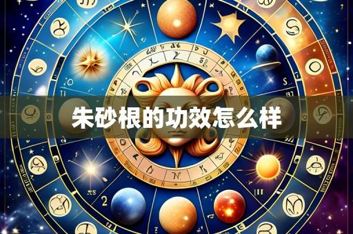 朱砂根的功效怎么样