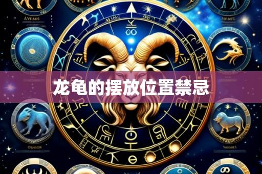 龙龟的摆放位置禁忌