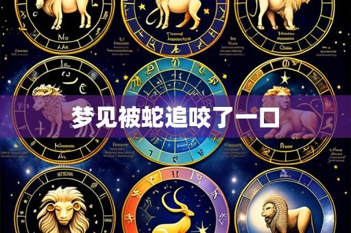 梦见被蛇追咬了一口