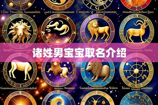 诸姓男宝宝取名介绍