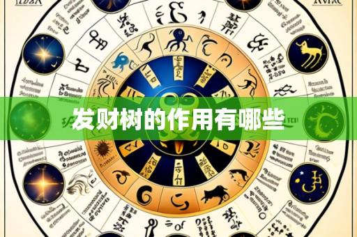 发财树的作用有哪些