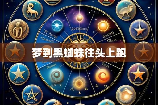 梦到黑蜘蛛往头上跑