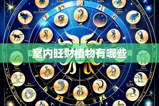 室内旺财植物有哪些