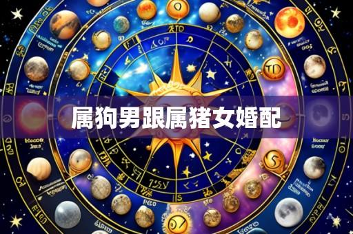 属狗男跟属猪女婚配