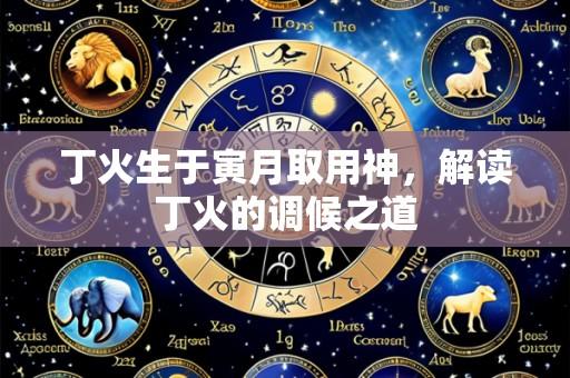 丁火生于寅月取用神,解读丁火的调候之道