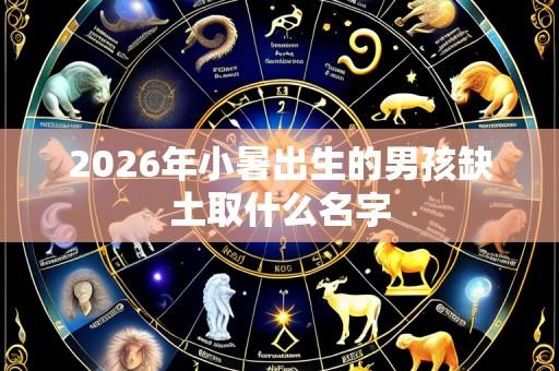 2026年小暑出生的男孩缺土取什么名字