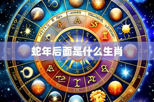 蛇年后面是什么生肖