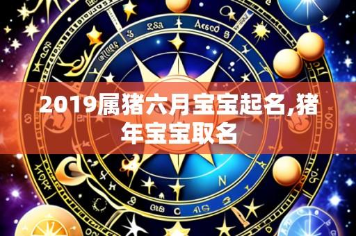 2019属猪六月宝宝起名,猪年宝宝取名