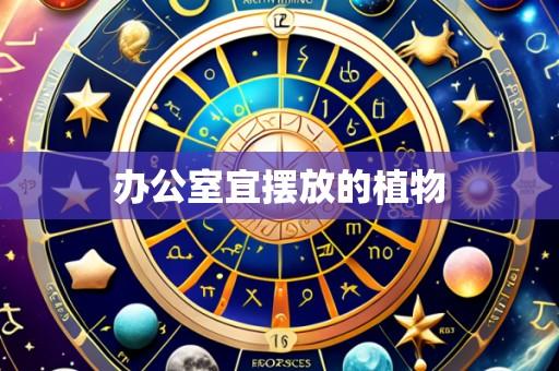 办公室宜摆放的植物