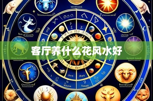 客厅养什么花风水好
