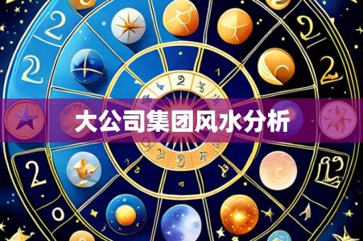 大公司集团风水分析
