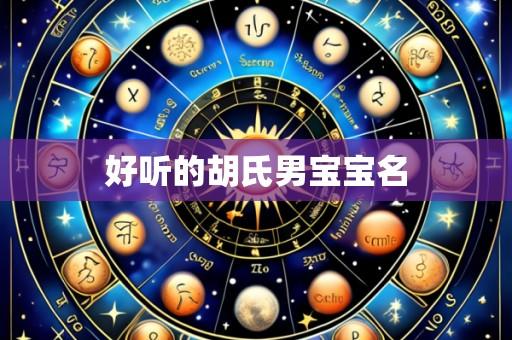 好听的胡氏男宝宝名