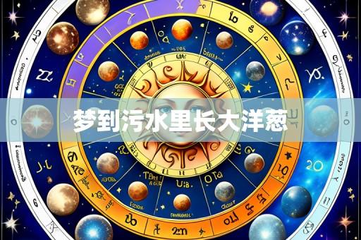 梦到污水里长大洋葱