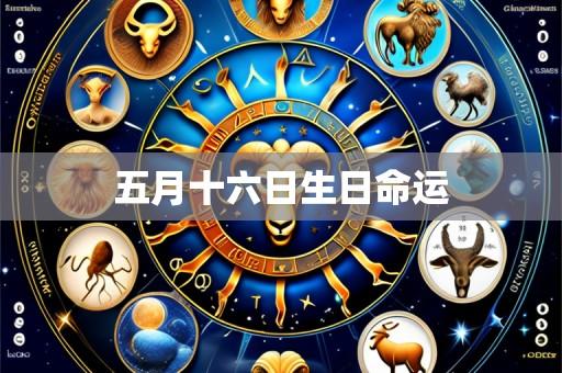 五月十六日生日命运