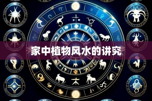 家中植物风水的讲究