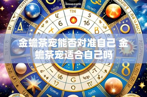 金蟾茶宠能否对准自己 金蟾茶宠适合自己吗