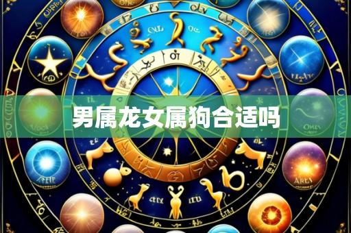 男属龙女属狗合适吗