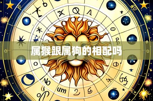 属猴跟属狗的相配吗